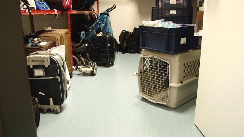 Pracovníci letiště na Tenerife kradli věci z kufrů. Napáchali škody za desítky milionů